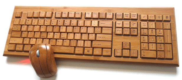 Bamboo4